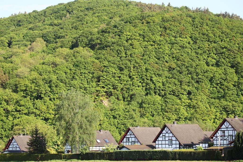 Bos En Kasteel Apartamento Nideggen Exterior foto